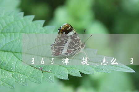 365律師提問怎么刪(365律師提問怎么刪)