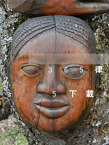 365律師網(wǎng)靠譜嗎(律師365下載APP)