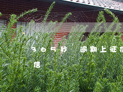 365秒貸逾期上征信(365秒貸逾期上征信)