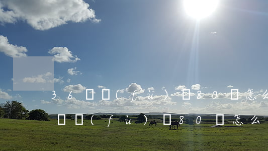 36歲負(fù)債80萬怎么辦理-36歲負(fù)債80萬怎么辦理貸款