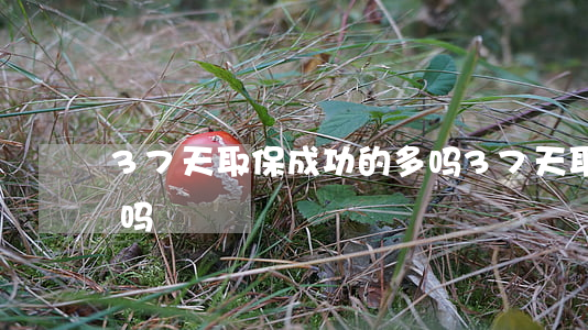 37天取保成功的多吗(37天取保成功的多吗)
