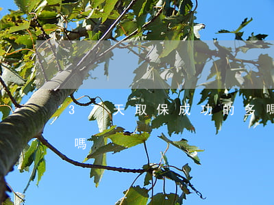 37天取保成功的多嗎(37天取保成功的多嗎)
