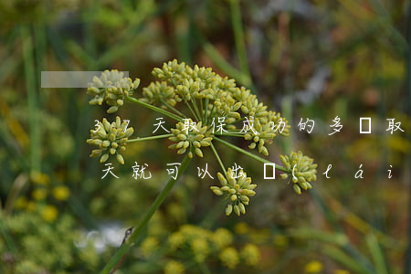 37天取保成功的多嗎(取保成功是不是37天就可以出來(lái)了)