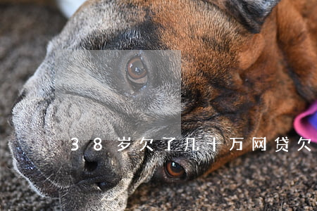 38岁欠了几十万网贷(欠网贷40万)
