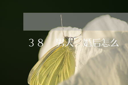 38歲男人離婚后怎么辦