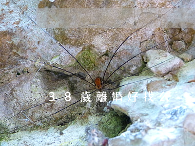 38歲離婚好找么