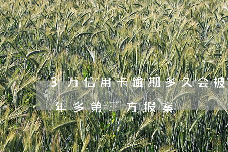 3万信用卡逾期多久会被起诉（信用卡逾期半年多第三方报案）