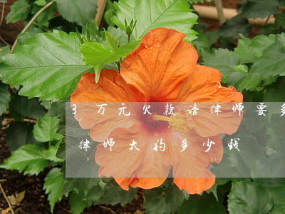 3万元欠款请律师要多少钱(30万的欠款请律师大约多少钱)