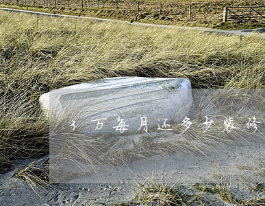 3万每月还多少(装修贷3万每月还多少)
