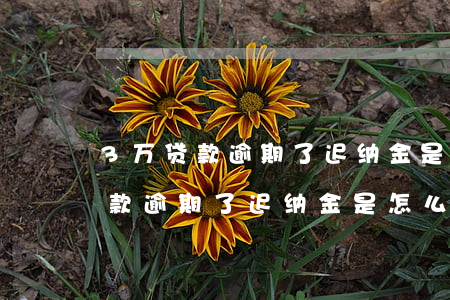3万贷款逾期了迟纳金是怎么算的-3万贷款逾期了迟纳金是怎么算的呢