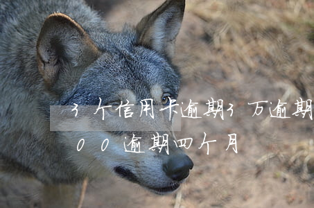 3个信用卡逾期3万逾期四个月(信用卡3000逾期四个月)