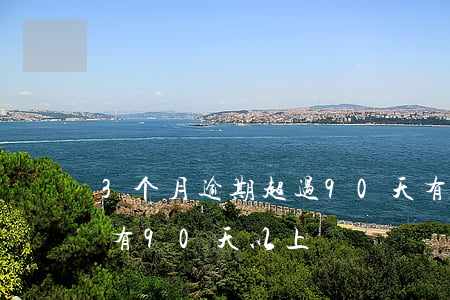 3个月逾期超过90天(有3个月处于逾期,没有90天以上)