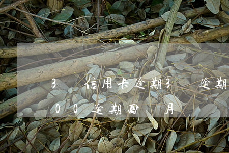 3個信用卡逾期3萬逾期四個月(信用卡3000逾期四個月)