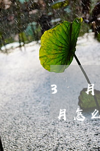 3個月還款后怎么消除逾期記錄(逾期了三個月怎么消除)