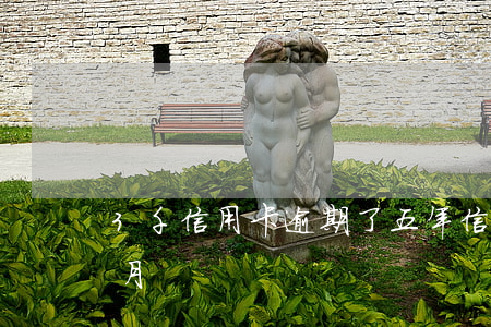 3千信用卡逾期了五年（信用卡逾期五萬三個月）