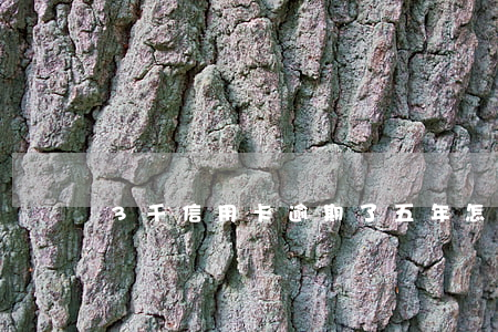 3千信用卡逾期了五年怎么办