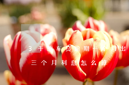 3千的车贷逾期一个月出多少利息(车贷逾期三个月利息怎么算)