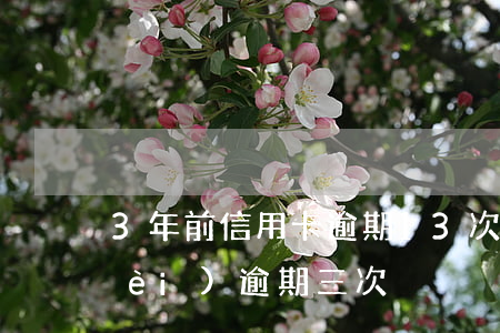 3年前信用卡逾期13次(信用卡兩年內(nèi)逾期三次)