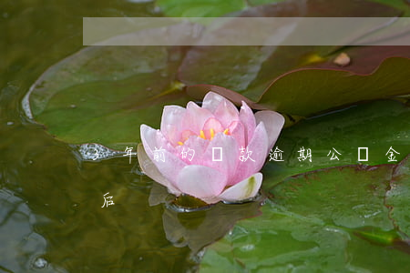 3年前的貸款逾期公積金(銀行貸款逾期三年后)