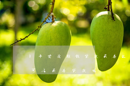 3年前逾期能贷款买房么(几年前有过逾期还可以买房贷款吗)