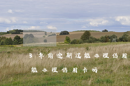 3年前逾期过能办理信用卡吗(3年前逾期过能办理信用卡吗)