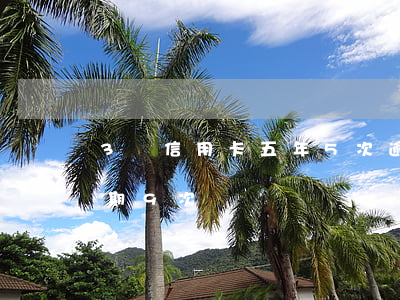 3張信用卡五年5次逾期(5年征信信用卡逾期9次)