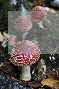 3張信用卡券逾期-3張信用卡券逾期會(huì)怎么樣