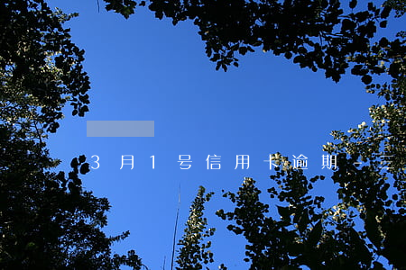 3月1号信用卡逾期-三季度信用卡逾期