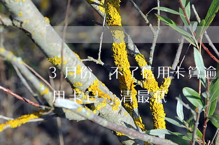 3月份還不了信用卡算逾期嗎(逾期三個月信用卡已還清最低)