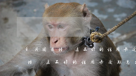 3月因疫情無法工作的信用卡逾期(3月因疫情無法工作的信用卡逾期怎么辦)