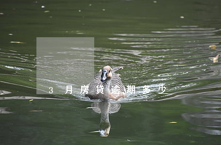 3月房貸逾期多少