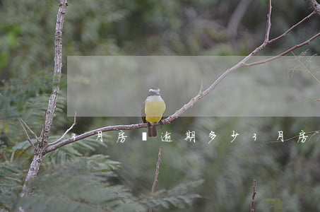 3月房貸逾期多少(3月房貸逾期多少)