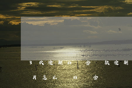 3次逾期公積金貸款(逾期連續(xù)三個月怎么貸公積金)