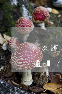 3次逾期能買房嗎(3年前逾期7次買房可以通過(guò)嗎)