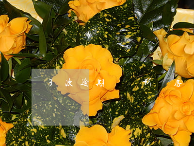 3次逾期記錄影響房貸嗎(有兩次逾期影響房貸嗎)