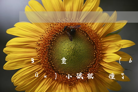 3歲兒童車禍賠償標(biāo)準(zhǔn)(小孩被車撞了賠償3萬塊)