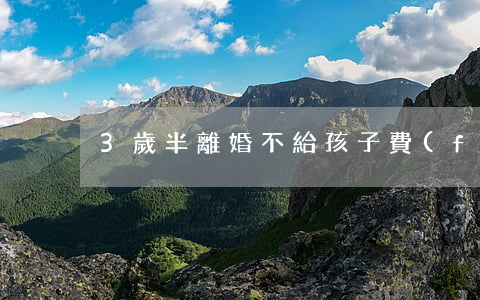 3歲半離婚不給孩子費(fèi)用怎么辦