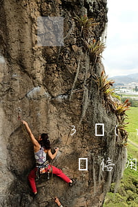 3萬(wàn)信用卡逾期無(wú)力償還(信用卡逾期三個(gè)月無(wú)力償還可以每月少還嗎)