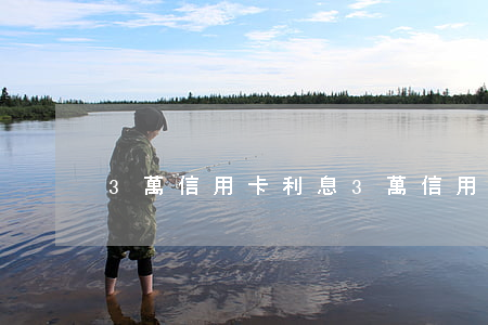 3萬信用卡利息(3萬信用卡利息一年多少)