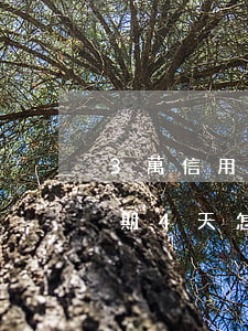 3萬信用卡逾期一個月違約金多少（信用卡逾期4天怎么算違約金）