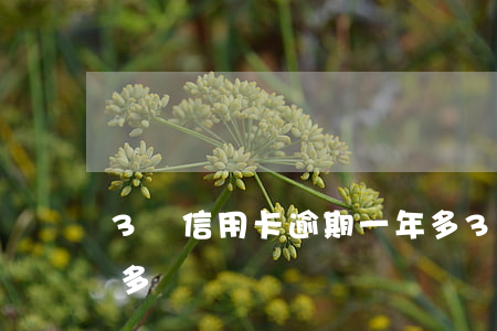 3萬信用卡逾期一年多(3萬信用卡逾期一年多)