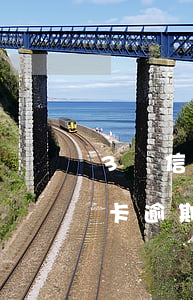 3萬信用卡逾期一年要還多少利息(3萬信用卡逾期一年要還多少利息)