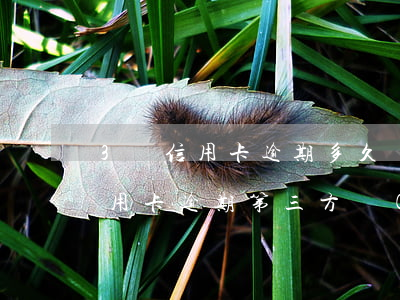 3萬信用卡逾期多久會(huì)被起訴（信用卡逾期第三方會(huì)真的起訴嗎）