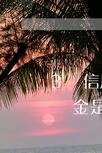 3萬信用卡逾期滯納金多少(信用卡3萬元滯納金是多少)