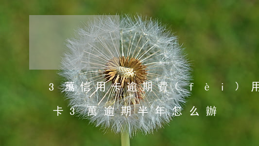 3萬信用卡逾期費(fèi)用怎么算(信用卡3萬逾期半年怎么辦)