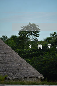 3萬元起訴值得嗎