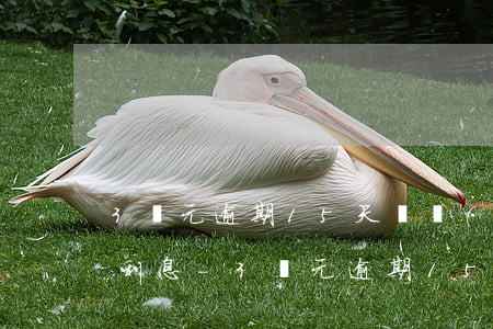 3萬元逾期15天會產(chǎn)生多少利息-3萬元逾期15天會產(chǎn)生多少利息呢