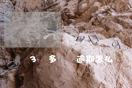 3萬多網貸逾期怎么辦(網貸逾期三年了怎么辦)