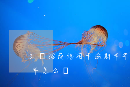 3萬招商信用卡逾期半年 信用卡3萬逾期半年怎么辦