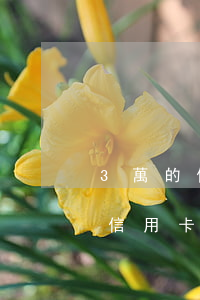 3萬的信用卡逾期一天利息多少啊-3萬的信用卡逾期一天利息多少啊怎么算